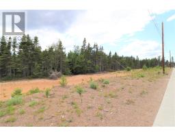 Lot 9 Murdoch Drive, deer lake, Newfoundland & Labrador