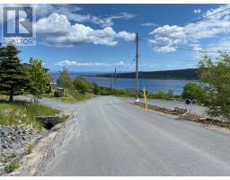 54 Bunkers Hill, carbonear, Newfoundland & Labrador