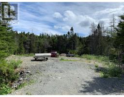 0 Youngs Lane, spaniards bay, Newfoundland & Labrador