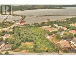 0 Heneys Pond Road Extension, bay roberts, Newfoundland & Labrador