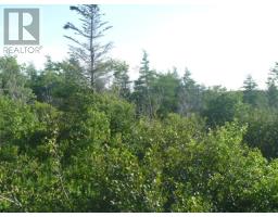 Lot 1 Freshwater Road, freshwater carbonear, Newfoundland & Labrador