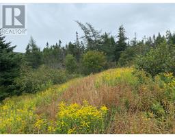 77-97 Country Road, heart's delight, Newfoundland & Labrador