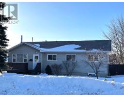 2 Larch Street, grand falls-windsor, Newfoundland & Labrador