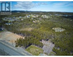 5 KITTIWAKE Place, portugal cove-st. phillips, Newfoundland & Labrador