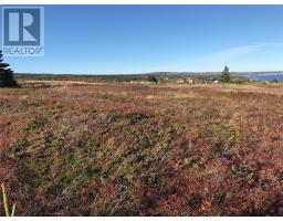 0 Arch Path Road, ocre pit cove, Newfoundland & Labrador