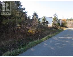 Lots 3-6 Healey's Cove Road, holyrood, Newfoundland & Labrador