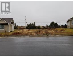 11 Michael Ryder Place, bonavista, Newfoundland & Labrador