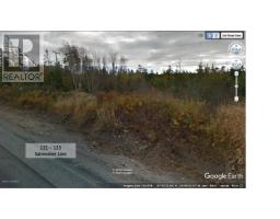 125 Salmonier Line, holyrood, Newfoundland & Labrador