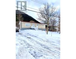 38 Little Port Road, lark harbour, Newfoundland & Labrador