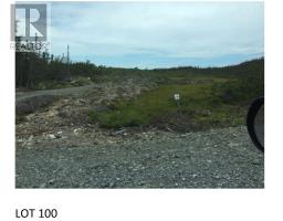 Lot 100 Ocean Pond Road, whitbourne, Newfoundland & Labrador