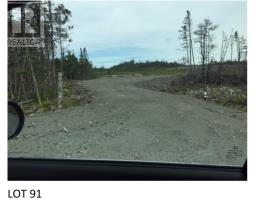 Lot 91 Ocean Pond Road, whitbourne, Newfoundland & Labrador