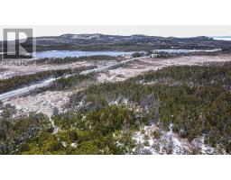 1024-1030 Bauline Line, bauline, Newfoundland & Labrador