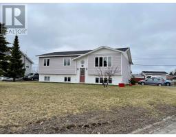 28 Smallwood Drive, grand falls-windsor, Newfoundland & Labrador