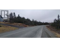 1004-1012 Bauline Line, bauline, Newfoundland & Labrador