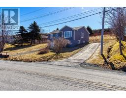 346 Main Road, harbour grace south, Newfoundland & Labrador