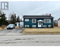 10 Dawson Drive, pasadena, Newfoundland & Labrador