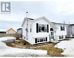 24 Dove Crescent, massey drive, Newfoundland & Labrador