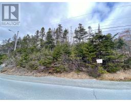 1256-1260 Bauline Line, bauline, Newfoundland & Labrador