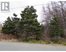 63 Kennedy's Lane Extension, holyrood, Newfoundland & Labrador