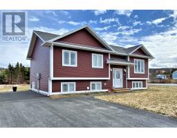 85 Whites Road, carbonear, Newfoundland & Labrador