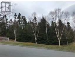 Lot 4 Newfound Lane, bay roberts, Newfoundland & Labrador